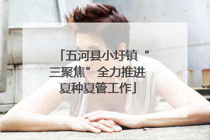 五河县小圩镇“三聚焦”全力推进夏种夏管工作