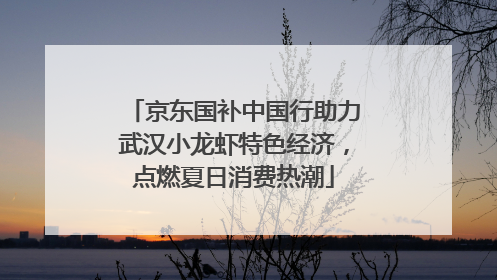 京东国补中国行助力武汉小龙虾特色经济，点燃夏日消费热潮