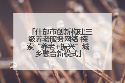什邡市创新构建三级养老服务网络 探索“养老+振兴”城乡融合新模式