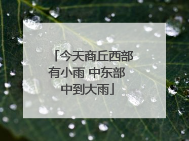 今天商丘西部有小雨 中东部中到大雨