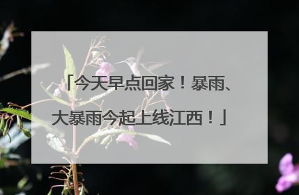 今天早点回家！暴雨、大暴雨今起上线江西！
