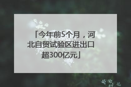 今年前5个月，河北自贸试验区进出口超300亿元