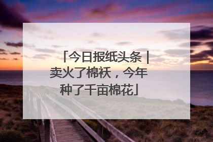 今日报纸头条｜卖火了棉袄，今年种了千亩棉花