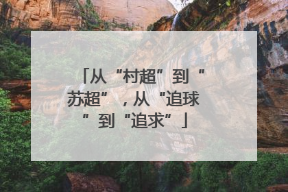 从“村超”到“苏超”，从“追球”到“追求”