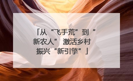 从“飞手荒”到“新农人” 激活乡村振兴“新引擎”