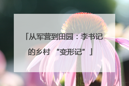 从军营到田园：李书记的乡村 “变形记”