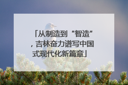 从制造到“智造”，吉林奋力谱写中国式现代化新篇章