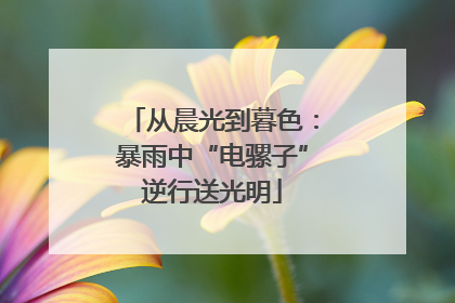 从晨光到暮色：暴雨中“电骡子”逆行送光明