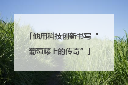 他用科技创新书写“葡萄藤上的传奇”
