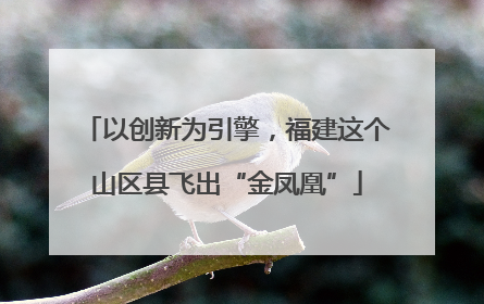 以创新为引擎，福建这个山区县飞出“金凤凰”