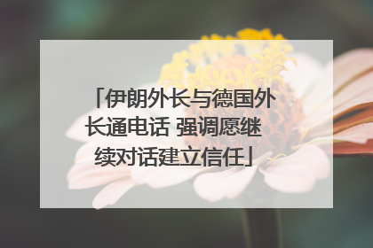 伊朗外长与德国外长通电话 强调愿继续对话建立信任