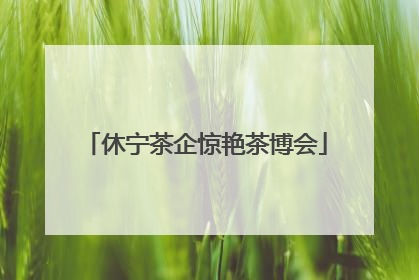 休宁茶企惊艳茶博会