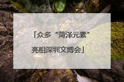 众多“菏泽元素”亮相深圳文博会