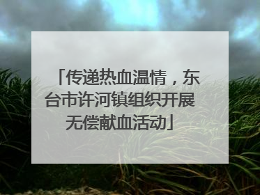 传递热血温情，东台市许河镇组织开展无偿献血活动