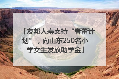 友邦人寿支持“春蕾计划”，向山东250名小学女生发放助学金