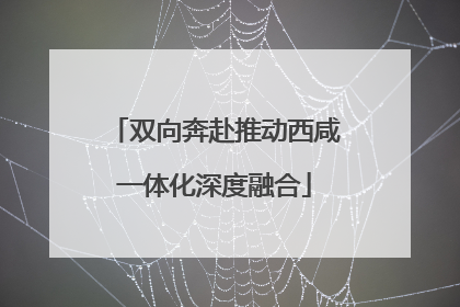 双向奔赴推动西咸一体化深度融合