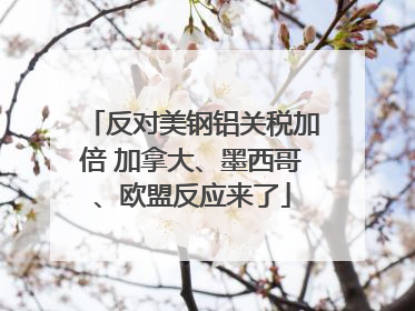 反对美钢铝关税加倍 加拿大、墨西哥、欧盟反应来了