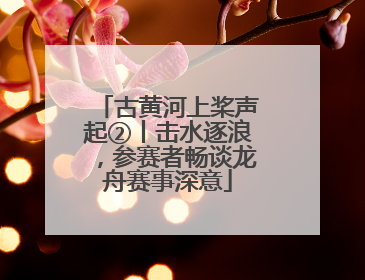 古黄河上桨声起②丨击水逐浪，参赛者畅谈龙舟赛事深意