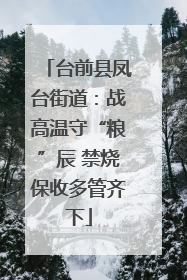 台前县凤台街道：战高温守“粮”辰 禁烧保收多管齐下