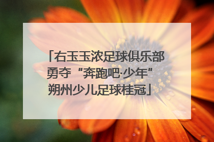 右玉玉浓足球俱乐部勇夺“奔跑吧·少年”朔州少儿足球桂冠