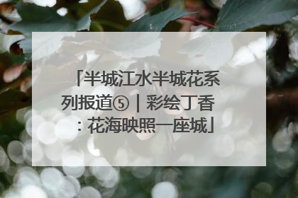 半城江水半城花系列报道⑤｜彩绘丁香：花海映照一座城