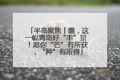 半岛聚焦丨瞧，这一幅青岛好“丰”景！愿你“芒”有所获，“种”有所得