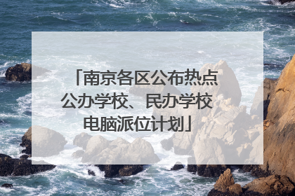 南京各区公布热点公办学校、民办学校电脑派位计划