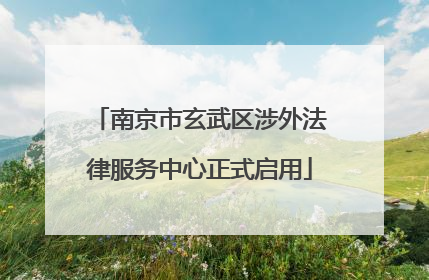 南京市玄武区涉外法律服务中心正式启用