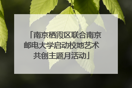 南京栖霞区联合南京邮电大学启动校地艺术共创主题月活动