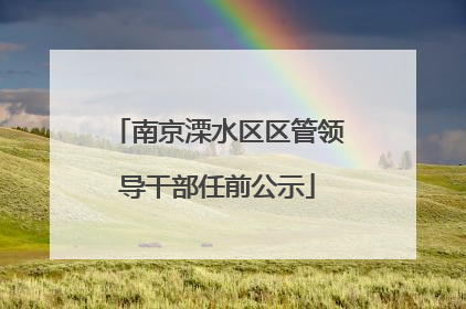 南京溧水区区管领导干部任前公示