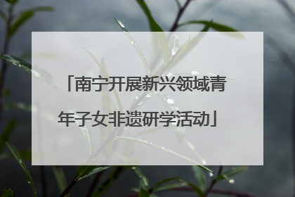 南宁开展新兴领域青年子女非遗研学活动
