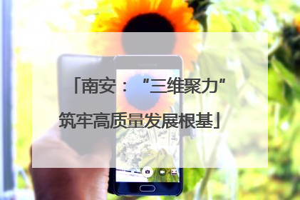 南安：“三维聚力”筑牢高质量发展根基