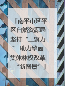 南平市延平区自然资源局坚持“三聚力” 助力擎画集体林权改革“新图景”