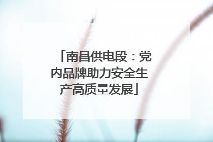 南昌供电段：党内品牌助力安全生产高质量发展
