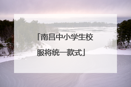 南昌中小学生校服将统一款式