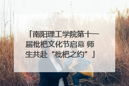南阳理工学院第十一届枇杷文化节启幕 师生共赴“枇杷之约”