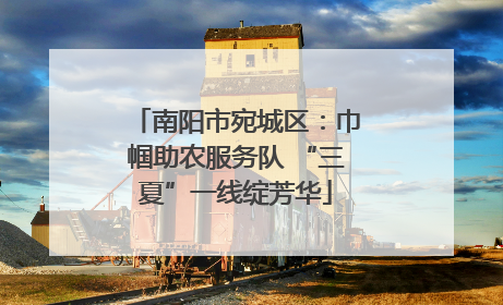 南阳市宛城区：巾帼助农服务队 “三夏”一线绽芳华