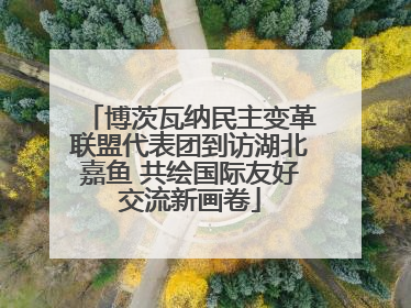 博茨瓦纳民主变革联盟代表团到访湖北嘉鱼 共绘国际友好交流新画卷
