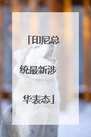 印尼总统最新涉华表态