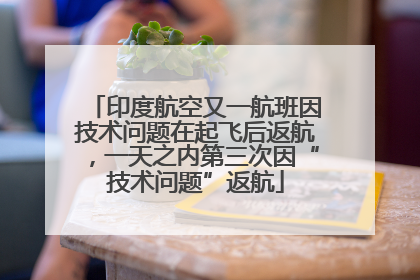 印度航空又一航班因技术问题在起飞后返航，一天之内第三次因“技术问题”返航