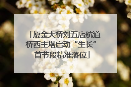 厦金大桥刘五店航道桥西主塔启动“生长” 首节段精准落位