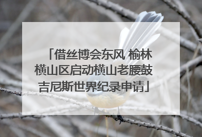 借丝博会东风 榆林横山区启动横山老腰鼓吉尼斯世界纪录申请