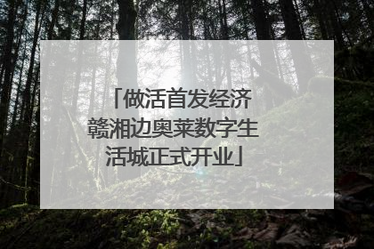 做活首发经济 赣湘边奥莱数字生活城正式开业