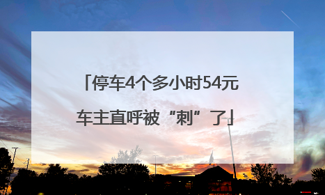 停车4个多小时54元 车主直呼被“刺”了