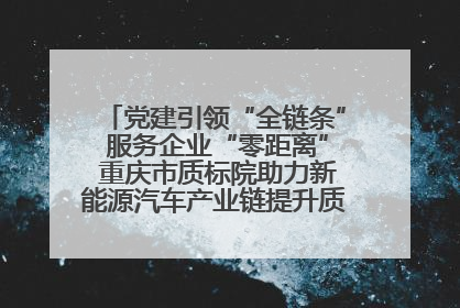 党建引领“全链条” 服务企业“零距离” 重庆市质标院助力新能源汽车产业链提升质量管理水平