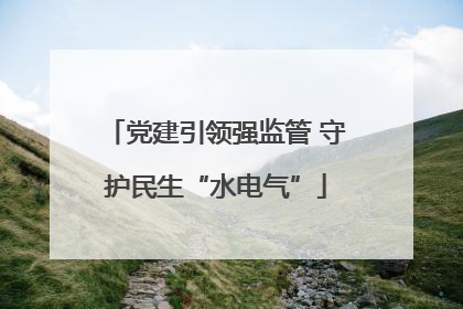党建引领强监管 守护民生“水电气”