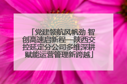 党建领航风帆劲 智创高速启新程—陕西交控延定分公司多维深耕赋能运营管理新跨越