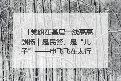 党旗在基层一线高高飘扬｜是民警、是“儿子”——申飞飞在太行山中的一线坚守