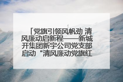 党旗引领风帆劲 清风廉动启新程——新城开集团新宇公司党支部启动“清风廉动党旗红”系列活动
