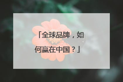 全球品牌，如何赢在中国？